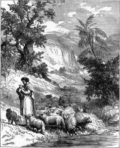 Following the Shepherd's Voice